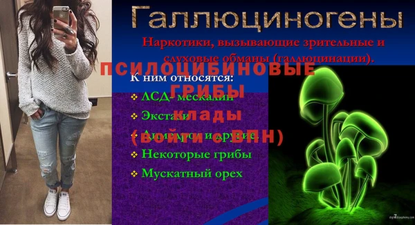 мяу мяу мука Карпинск
