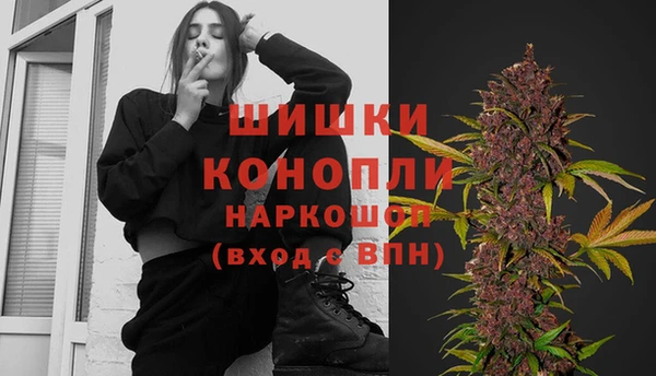 spice Касимов