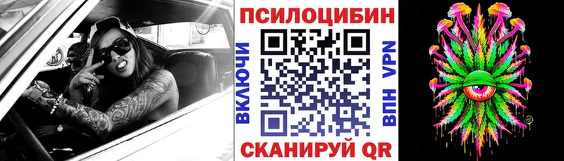 Купить  Старый Оскол  Галлюциногенные грибы прущие грибы 